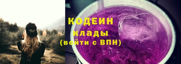 ГАЛЛЮЦИНОГЕННЫЕ ГРИБЫ Аркадак