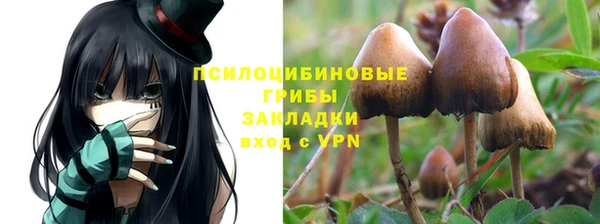 трава Армянск