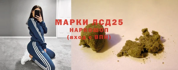 ГАЛЛЮЦИНОГЕННЫЕ ГРИБЫ Аркадак