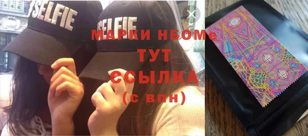 прущие грибы Балахна